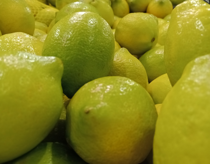 Fresh Lemon Export